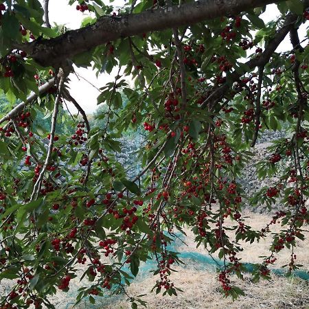 Alle Pendici Dell'Etna Ragalna Kültér fotó