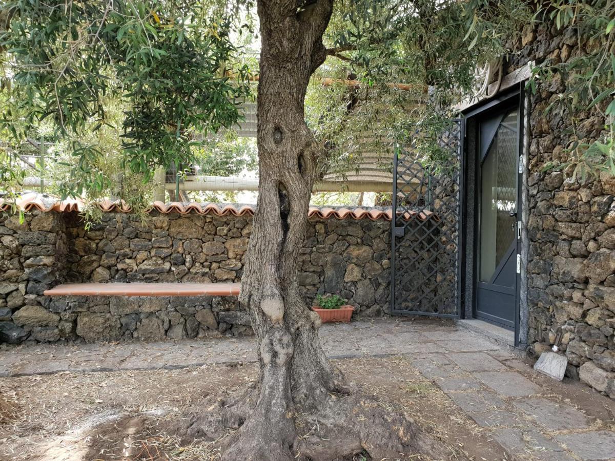 Alle Pendici Dell'Etna Ragalna Kültér fotó